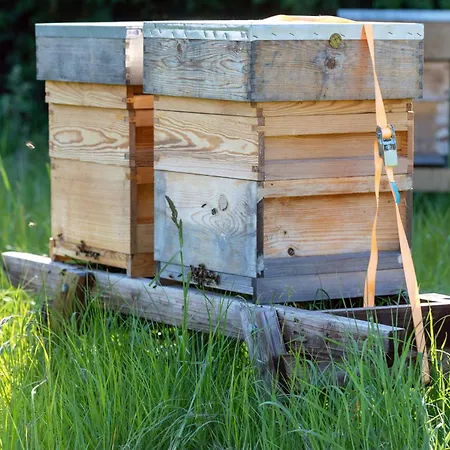 Hidden Acres- Luxury Glamping Pod Mint *