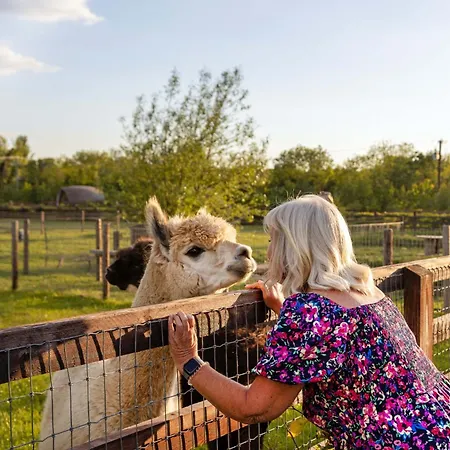 Hidden Acres- Luxury Glamping Pod Mint