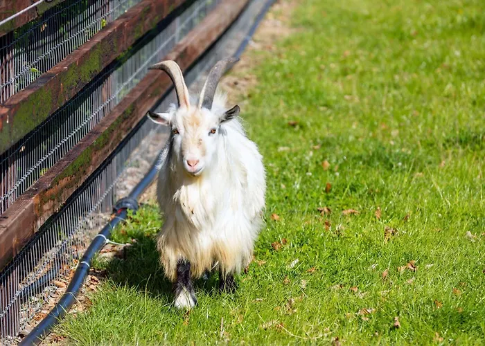 Hidden Acres- Luxury Glamping Pod Mint Малахайд