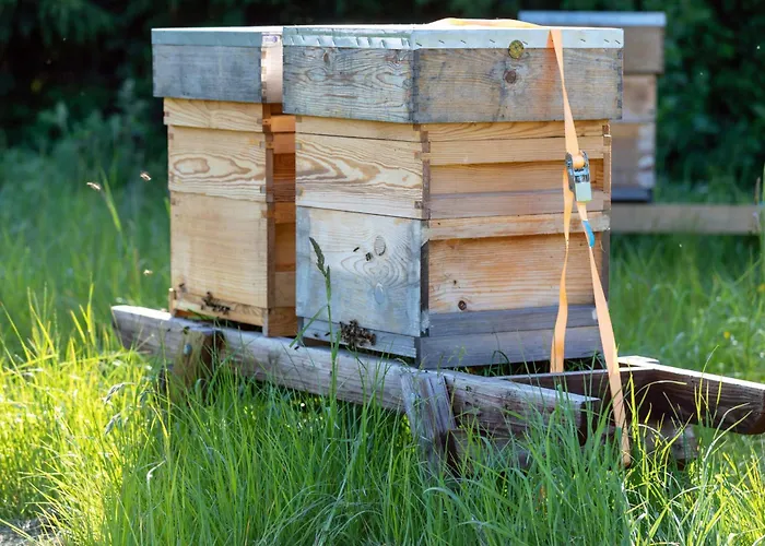 Hidden Acres- Luxury Glamping Pod Mint *