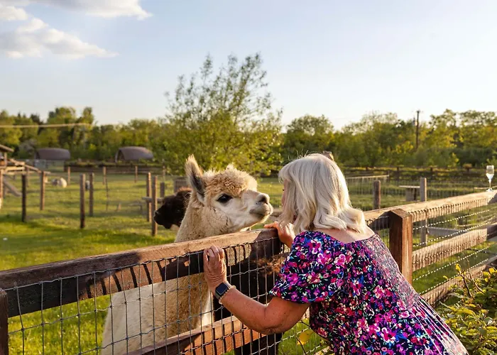 Hidden Acres- Luxury Glamping Pod Mint