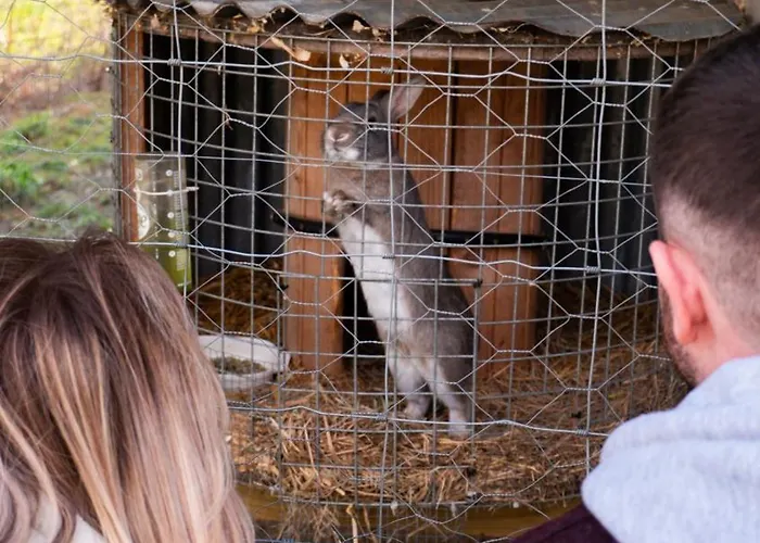 Hidden Acres- Luxury Glamping Pod Mint Дом отдыха *